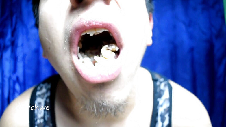 Dreichwe: お弁当を食べる