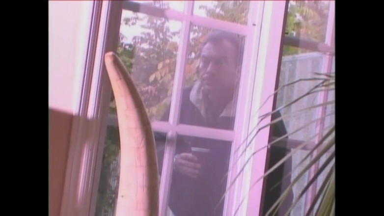 American Stallion: 2人の美人レズビアンがお互いのマンコを舐め合い、大きなディルドを互いに突き刺し合う