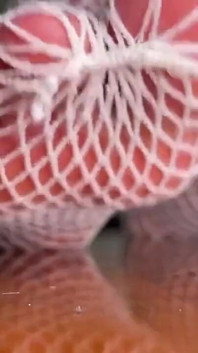 Pink Foxx Pedichiură Picioare în plasă