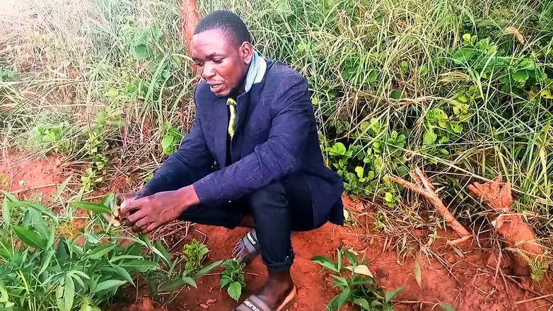 Judith xxx: Nice One Honey