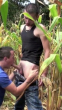 Flat boy fucked by twink in exhib outdoor