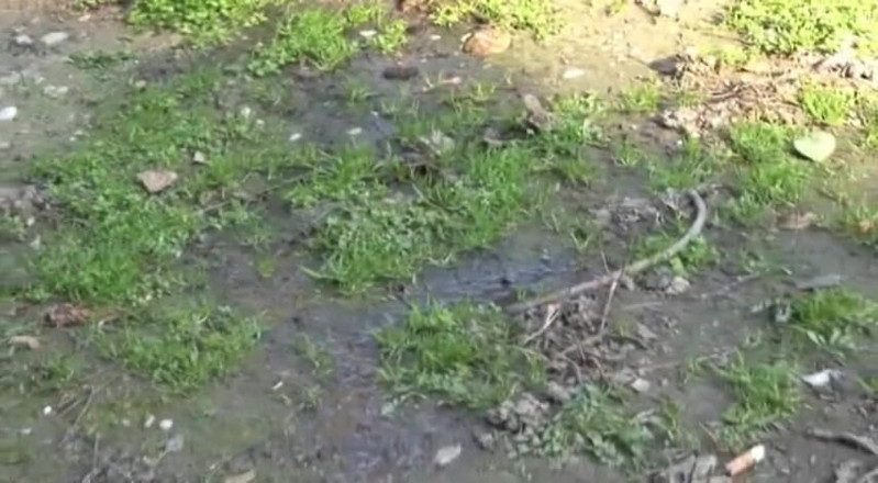 Femdom Austria: Outdoor pissing next to a tree