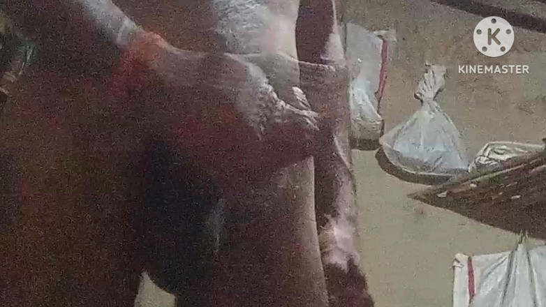 vijay Yadav: Бхабхі відтрахана 9-дюймовим пенісом