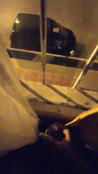 Masturbándose para el vecindario