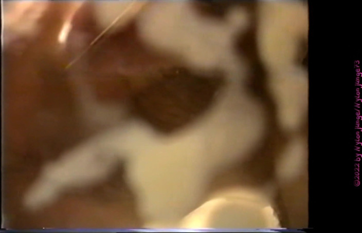 Carmen_Nylonjunge: Nylonjunge nostalgic cumshot collection 3 ** VHS compilation **