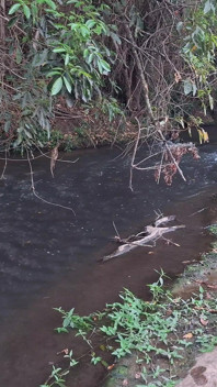 Strangers Are Caught Having Sex at the Waterfall.
