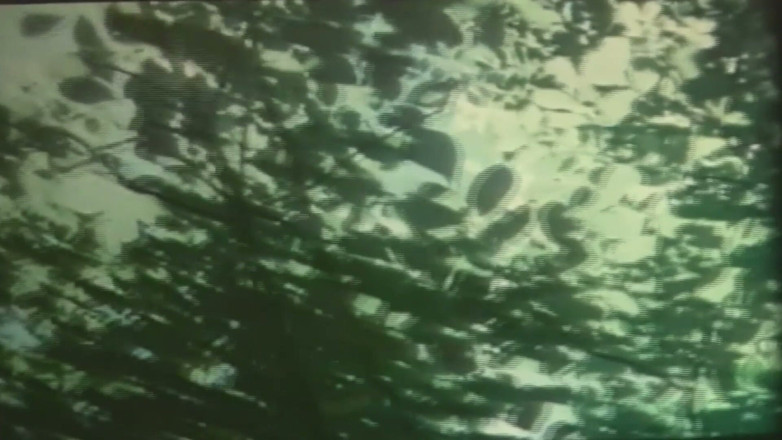 VintageXMovies: Desiree Vintaj Pertemuan MILF Cousteau dan Pertemuan Pantai