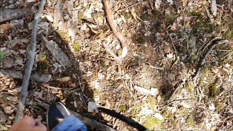 UserBitch1: Kacau di tepi hutan