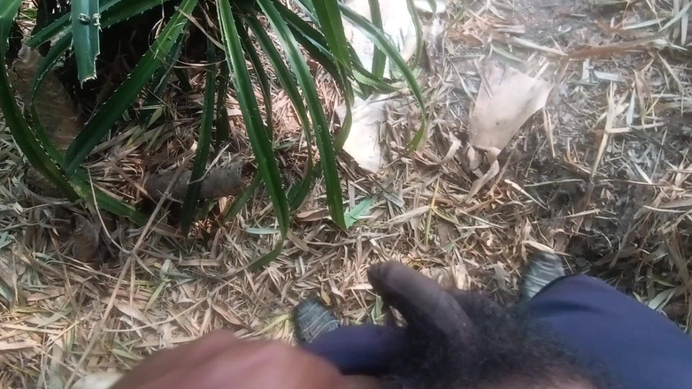 Kunukuni: Village Girls Bhabhi, Jungle Girl Boy Hand Pumping