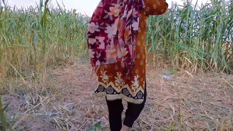 Abida sexy: Desi Couple