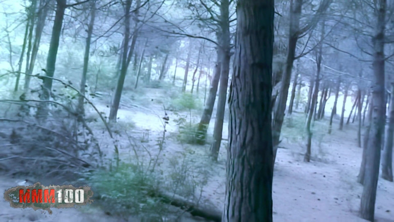 MMM100: Starla-candy Beautiful French Blonde Starla Candy Pees in the Woods...