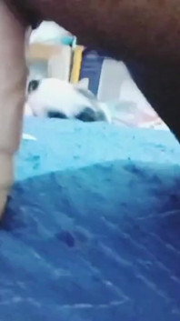 小さな猫と一人で遊ぶ