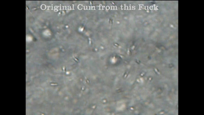 Mark Hannes: Fleshlight sikiş mastürbasyonu ve mikroskop altında sperm