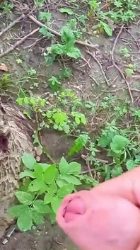 Fiz uma videochamada especial em coisas muito secretas na floresta