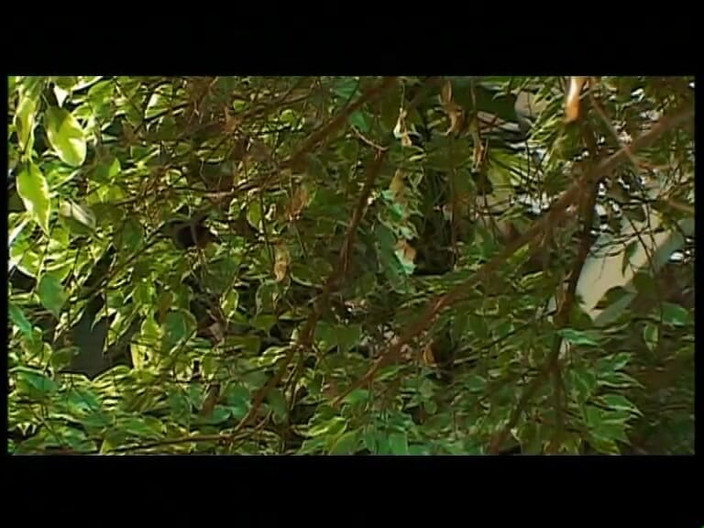 Vintage megastore: Krásné mladé děvky a sexy prsaté milfky ošukané a vystříkané...