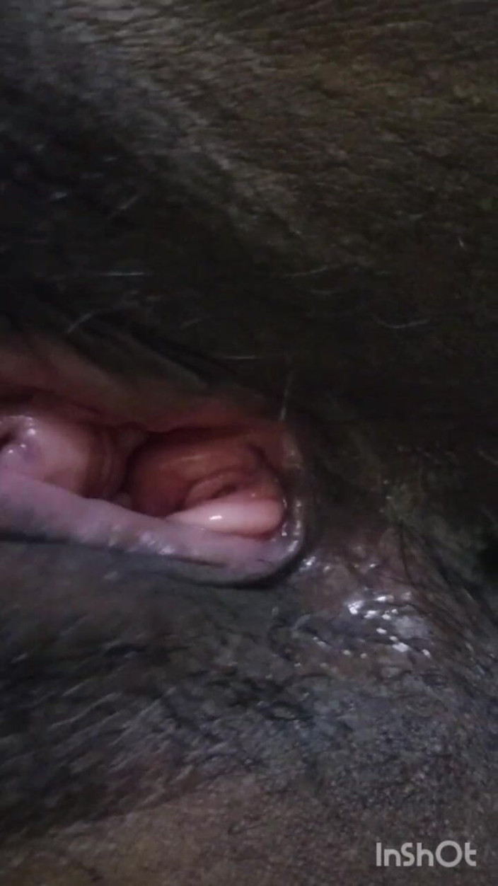 Funny couple porn studio: Missionärspar med stönande