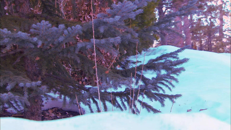 Perv Milfs n Teens: Velicity Von Rocks This Studs World with Her Big Tits...