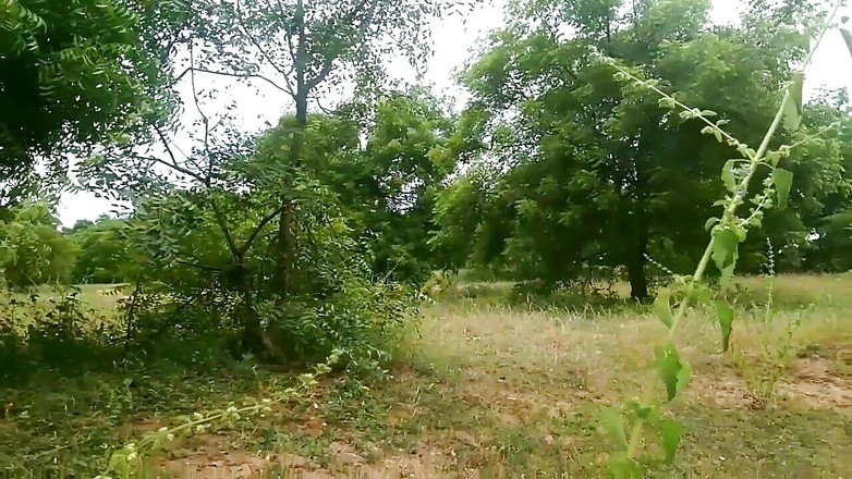 Priyanka314: Indisches dorf-bauern-paar beim sex