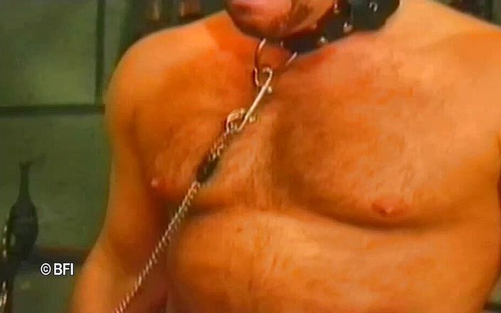 Hardcore slave sex: Depraved and shaved [bizarre]
