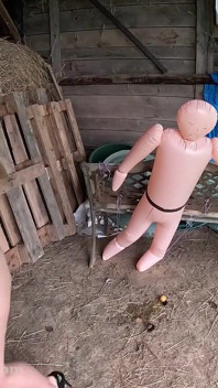 Entraînement de ballbusting par une femme musclée - ralenti