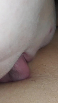 My Slave Kisses My Feet, Licks My Navel, Licks My Nipples, Licks My Pussy