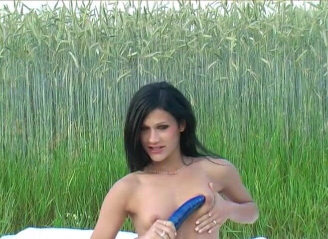 Hot Girlz: Lovely brunette rides a big dildo outdoors