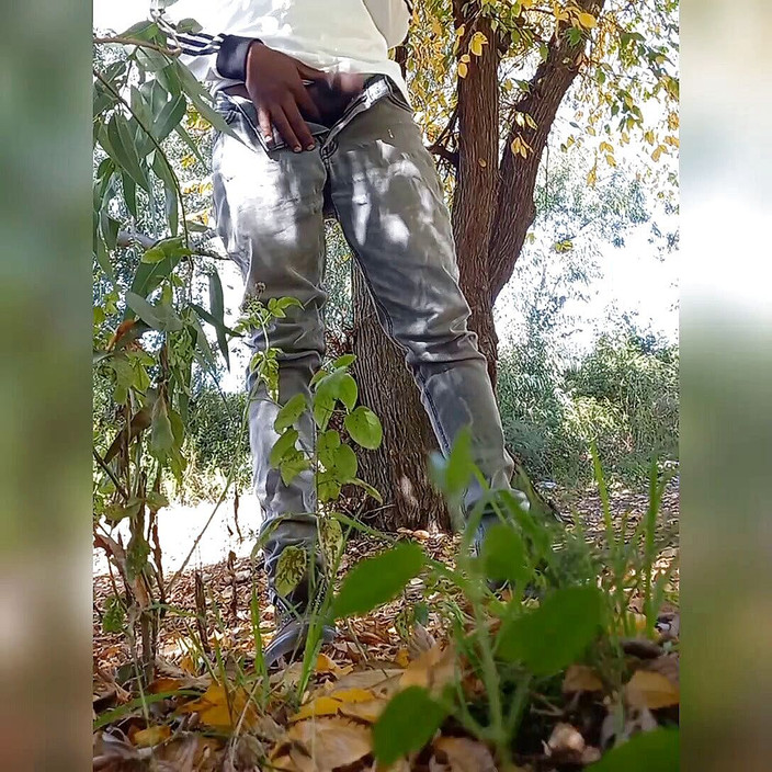 Zebra Ass: Il primo video