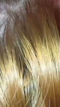 अश्लील katt xtreme/cut: कामुक गहरे गले की रानी लौटती है
