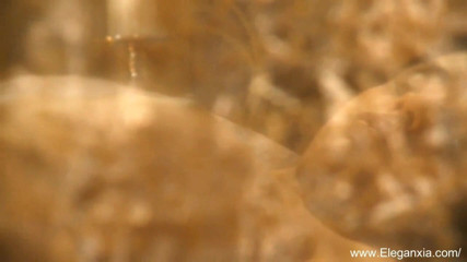 Eleganxia: Eleganxia - erotische films zusammenstellung