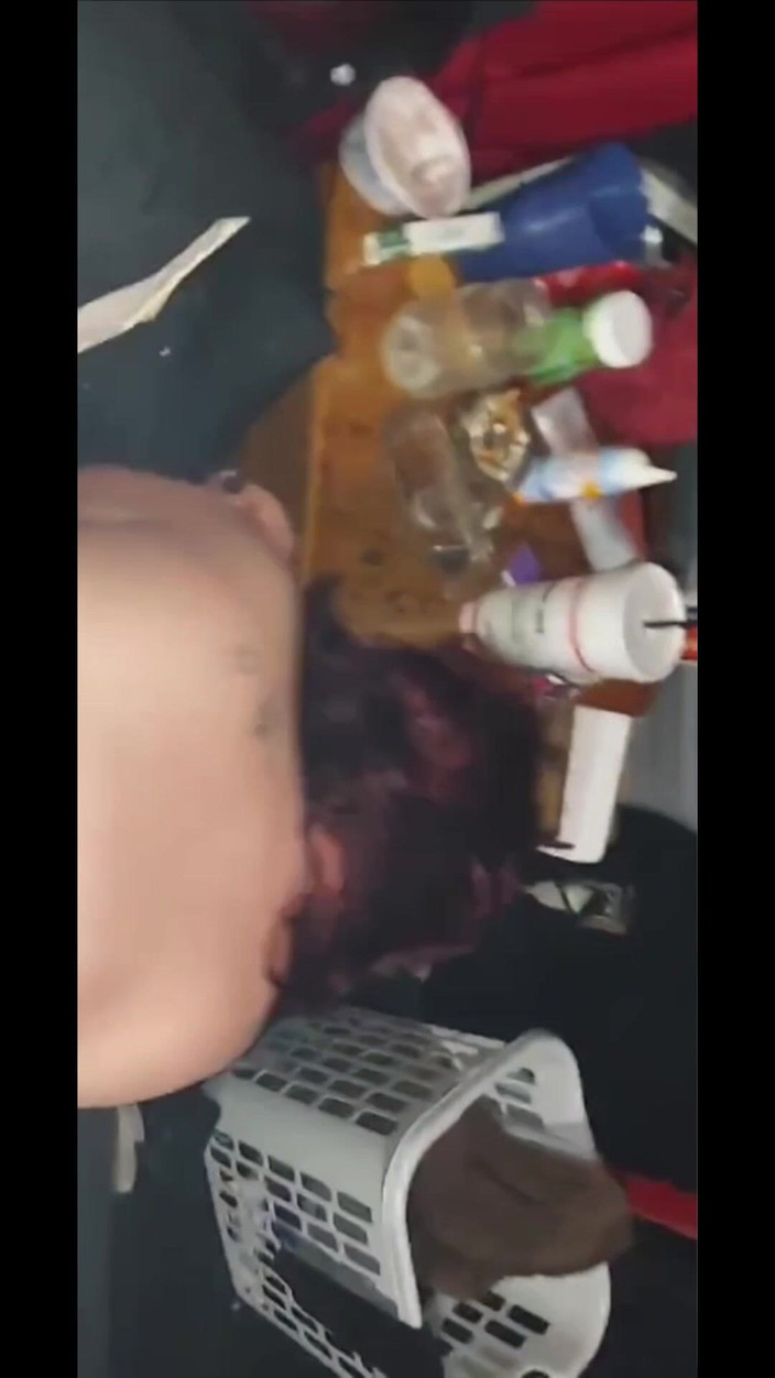 ShadowGodKing: Cloud 9 Kapitel 1