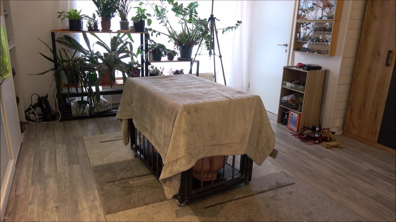 Slave Jenni: Da, Maestre, sunt al tău