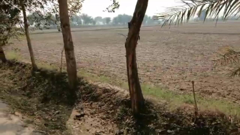 Desiboy gay: Пакистанский горячий секс с пареньком