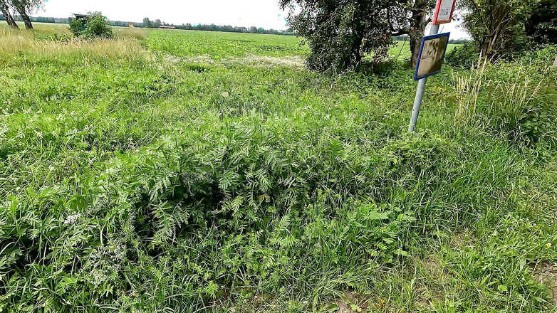 Bouncy Tits Action: 在公交车站拍打她裸露的奶子