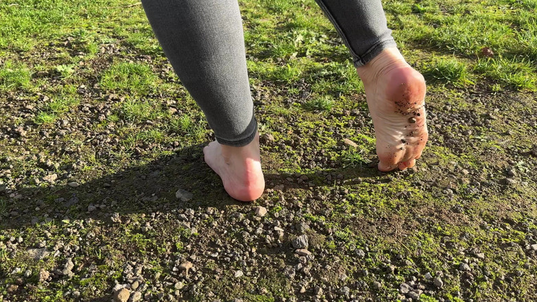 Sabdeluxe: Cá sấu