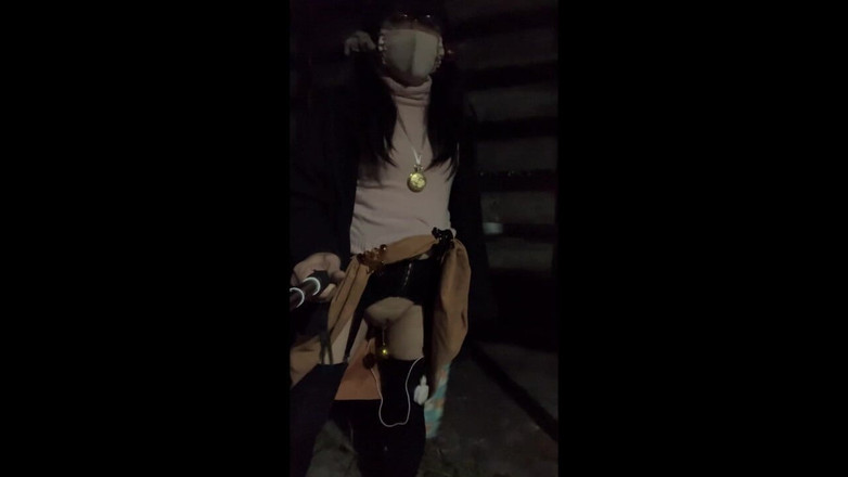 megu2002: 自主トレーニング　no21　夜間の露出散歩と野良おしっこ