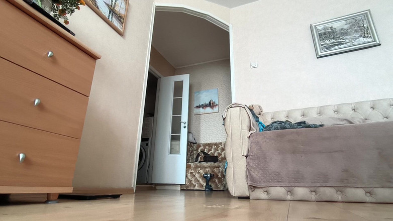 webcamboy98: Молодий хлопець кінчає на вихідних