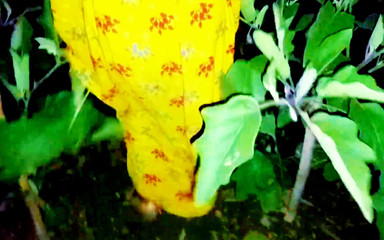 Dogrupali69: Sex în aer liber cu soția mea desi