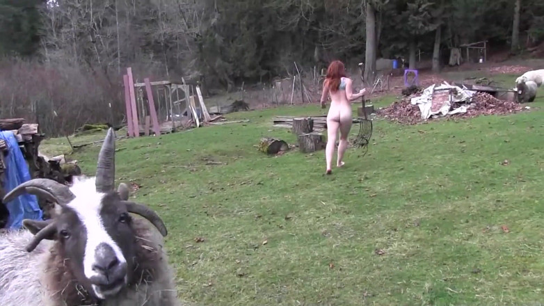 Lesbian Illusion: Lesbian slave punished with sexy sex toys