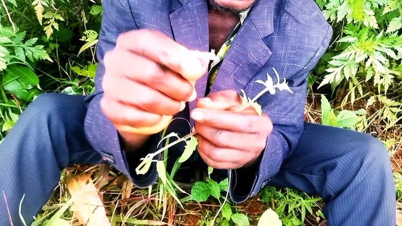 Judith xxx: In nuovo amore