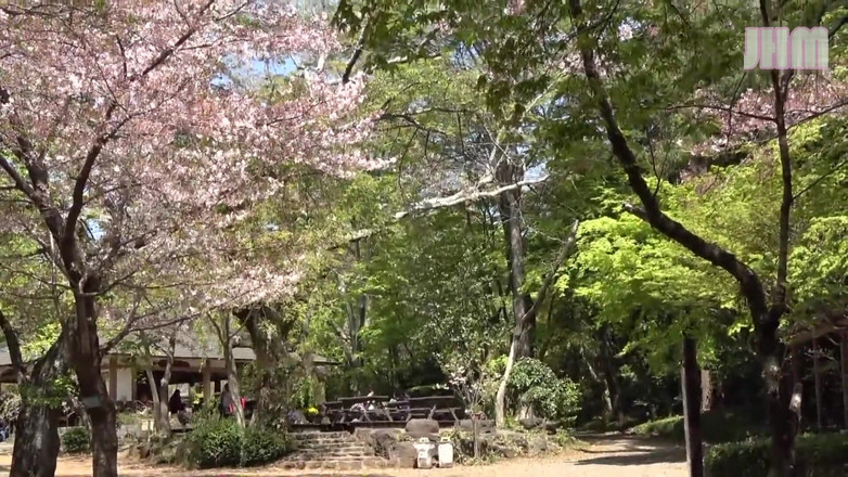 Japanese Hentai Matings: Hot Spring - Aya, 27 anos, uma mulher casada - 1