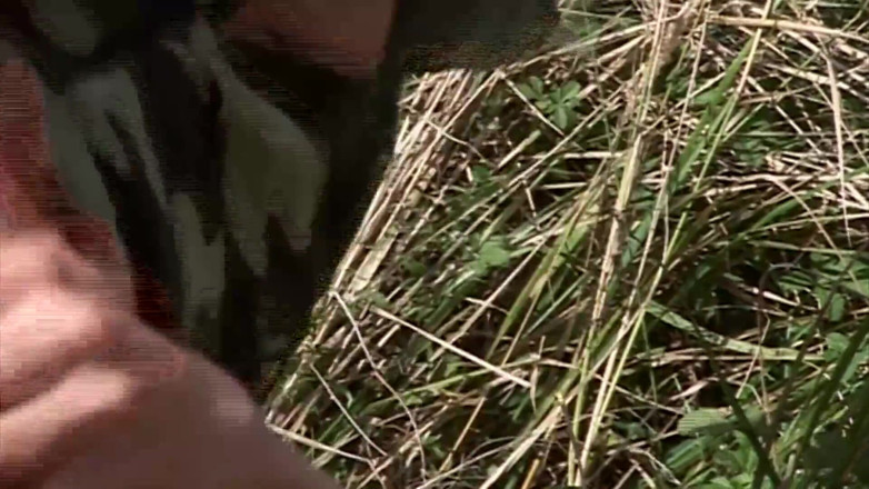 Public Entertainment: Blonde chick gets plowed outdoors