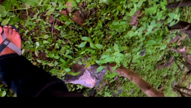 Pihu bhabhi: 彼氏に森の外でファックされたインド人の女の子