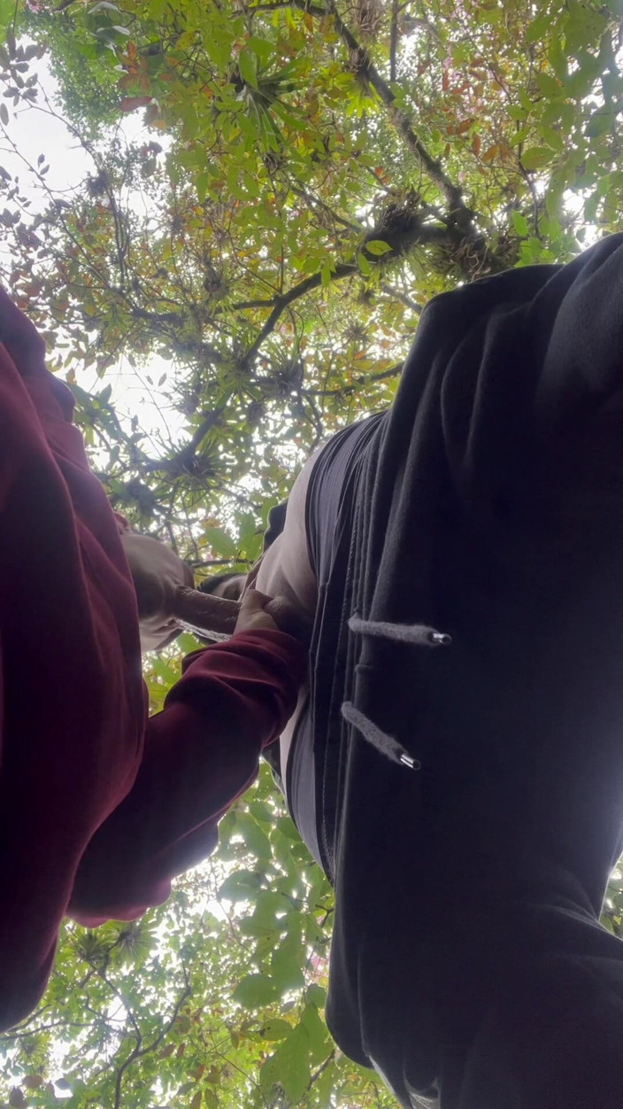 Ultra2017P: Sucking My Classmate’s Dick on Campus