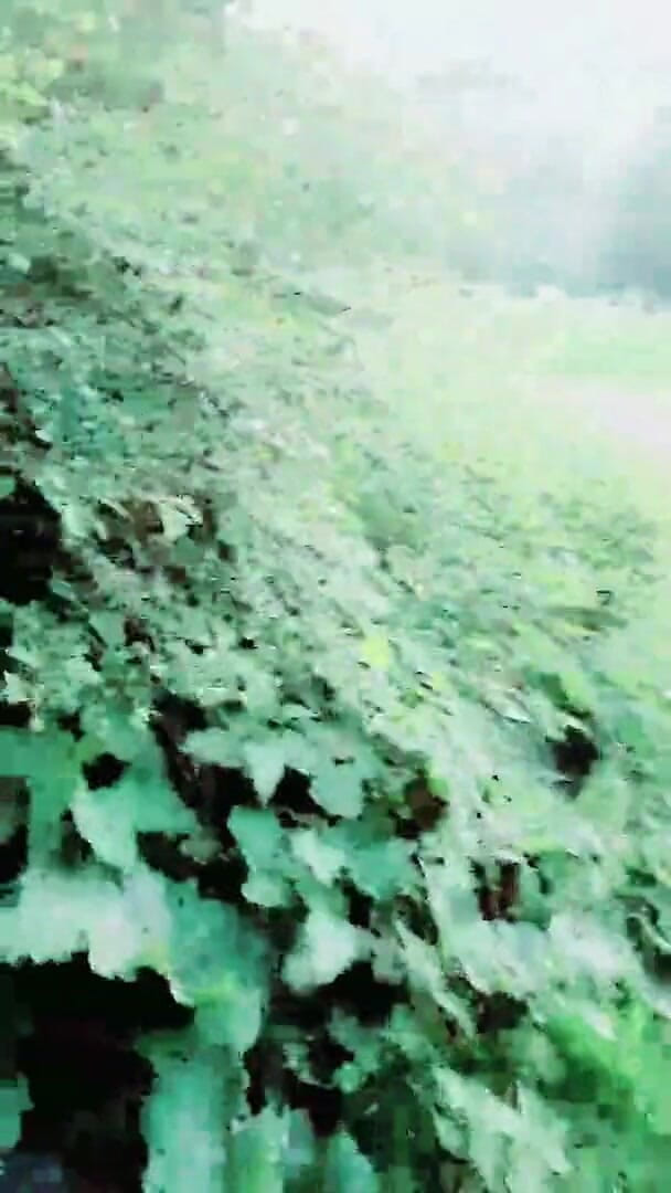 Slutboyben: Slutboyben Cam4 Ahli pameran bintang lucah seksi dikongkek otak