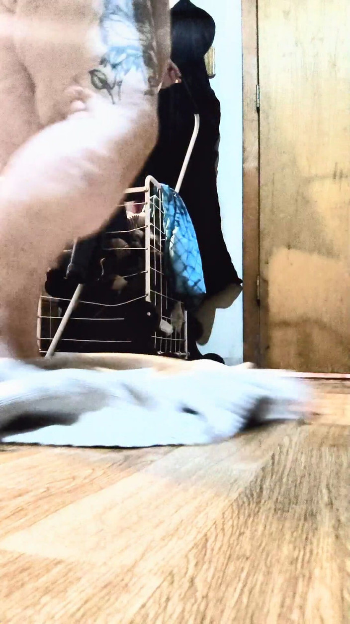 HerculesnVENUS: Powiedział, że chcę spróbować czegoś nowego z U, a potem to...