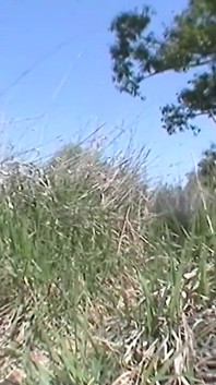 Outdoor blowjob from brunette slut Jessica