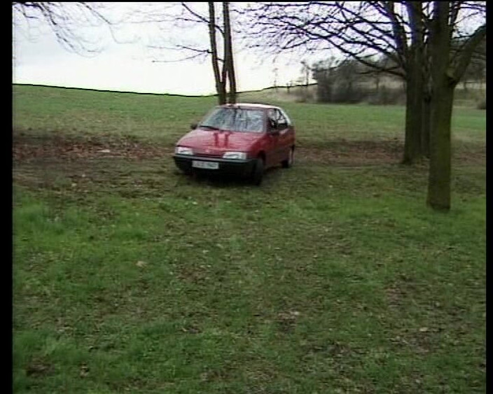 Deutsche Damen: Cute Amateur Teen From Germany Sucking Cock in Park