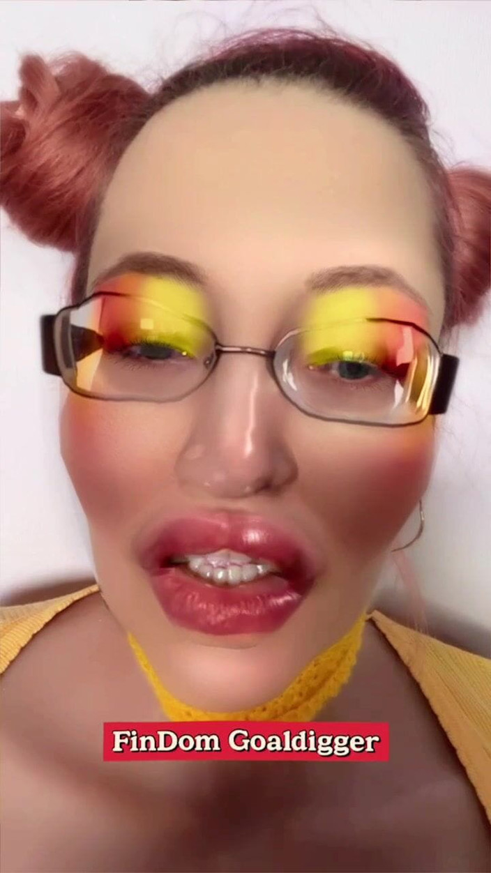 FinDom Goaldigger: 一目瞭然!