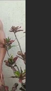 사람들이 거리에서 나를 볼 수있는 덤불에서 전화를하고. 그건 섹시하고, 정확하고, 미쳤고, 재미있었습니다.
