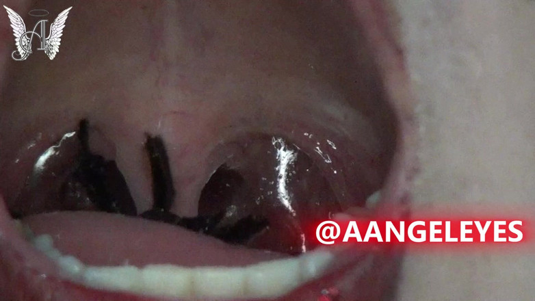 Angel eyes studio: 큰 거미를 삼키는 슈퍼 쇼!